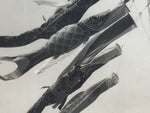 Japanese Koinobori Carp Streamers Photograph Children's Day Black White PH206