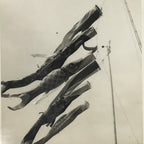 Japanese Koinobori Carp Streamers Photograph Children's Day Black White PH206
