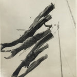 Japanese Koinobori Carp Streamers Photograph Children's Day Black White PH206