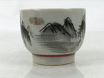 Japanese Kutani Porcelain Teacup Vtg Yunomi Pagoda Mountain Scene Sencha TC607