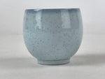 Japanese Kutani Ware Ceramic Teacup Vtg Blue Flower Design Pottery Yunomi TC392