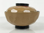 Japanese Lacquer Wood Lidded Bowl Owan Vtg Makie Dragonfly Black Brown Red LB166
