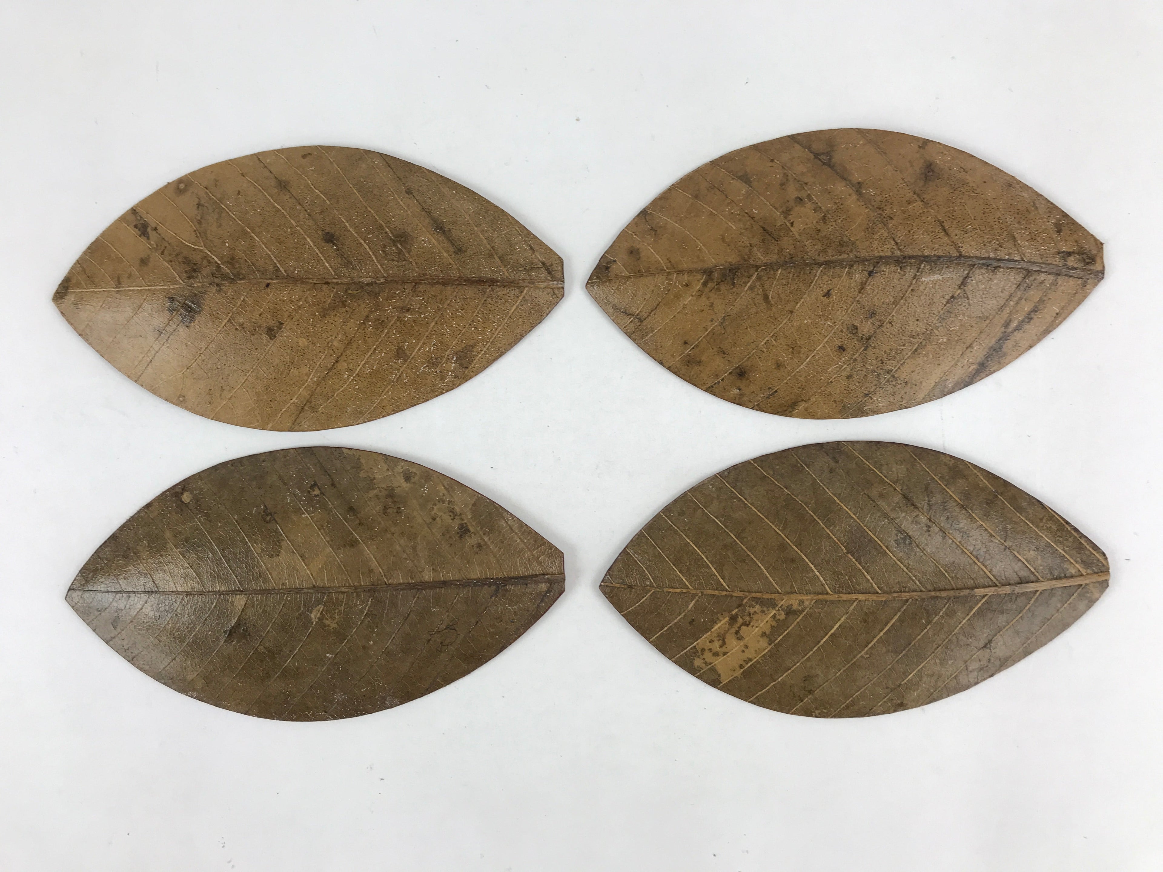 Japanese Lacquered Leaf Magnolia Sushi Plate Vtg Sweets Brown Red 5pc Set LWB58