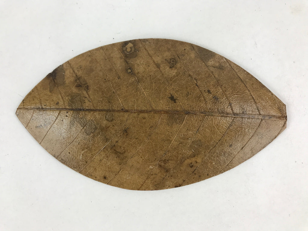 Japanese Lacquered Leaf Magnolia Sushi Plate Vtg Sweets Brown Red 5pc Set LWB58