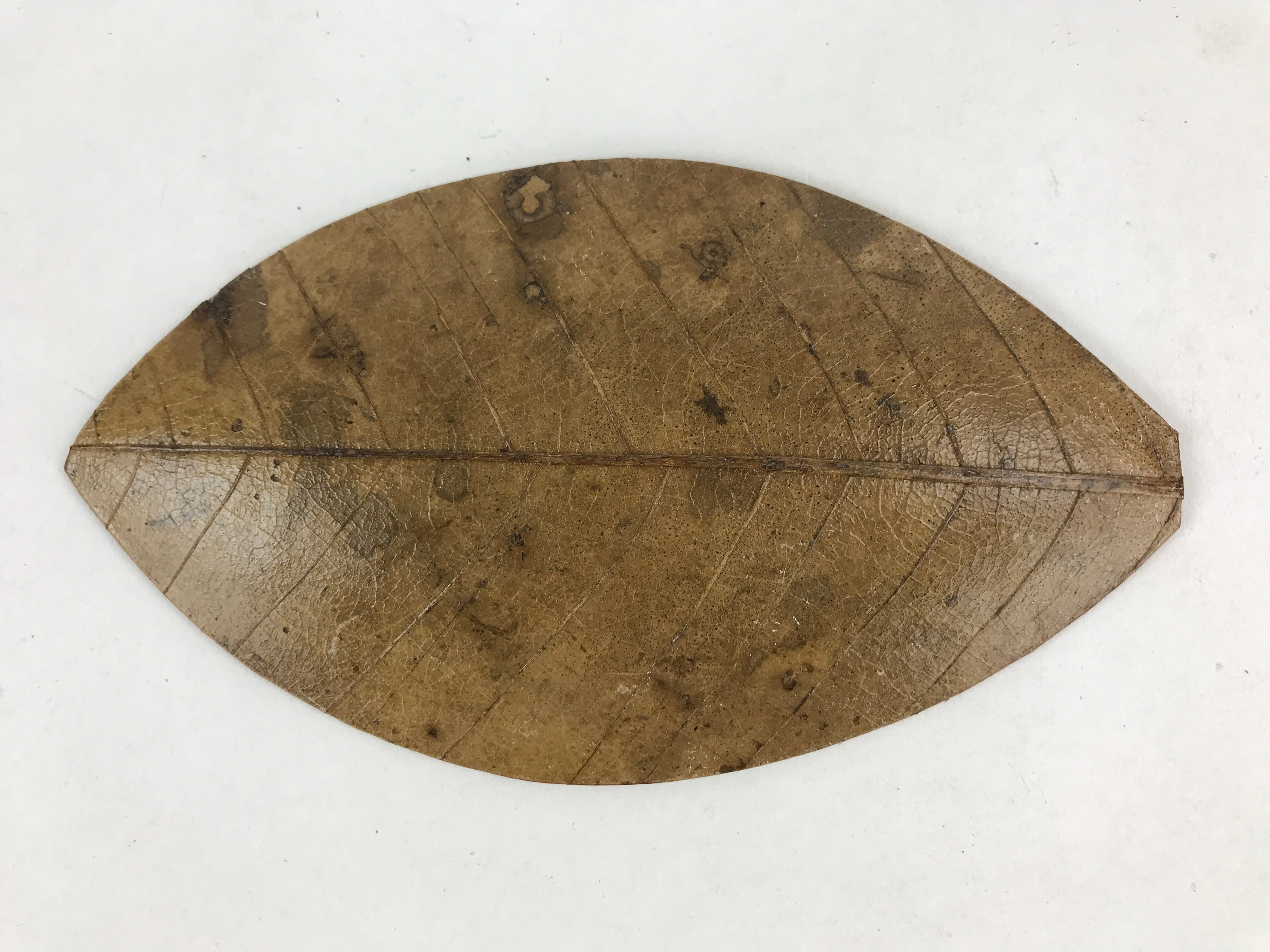 Japanese Lacquered Leaf Magnolia Sushi Plate Vtg Sweets Brown Red 5pc Set LWB58