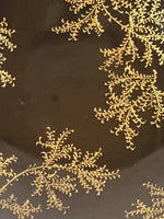 Japanese Lacquered Makie Sake Cup Sakazuki Vtg Guinomi Brown Gold Plants G101