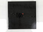 Japanese Lacquered Wood Serving Tray Obon Vtg Square Curved Red Edge Black L573