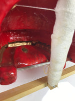 Japanese Lacquered Wooden Shishi Dancing Lion Dog Mask Komainu Red Fabric OM96