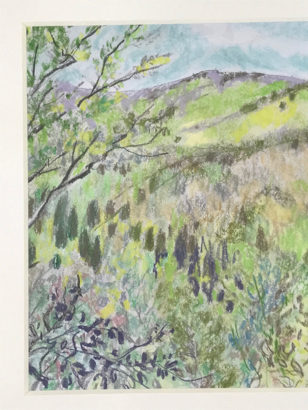 Japanese Lush Nature Landscape Pastel Drawing Art Signed Yoshihiro Hagino FL321