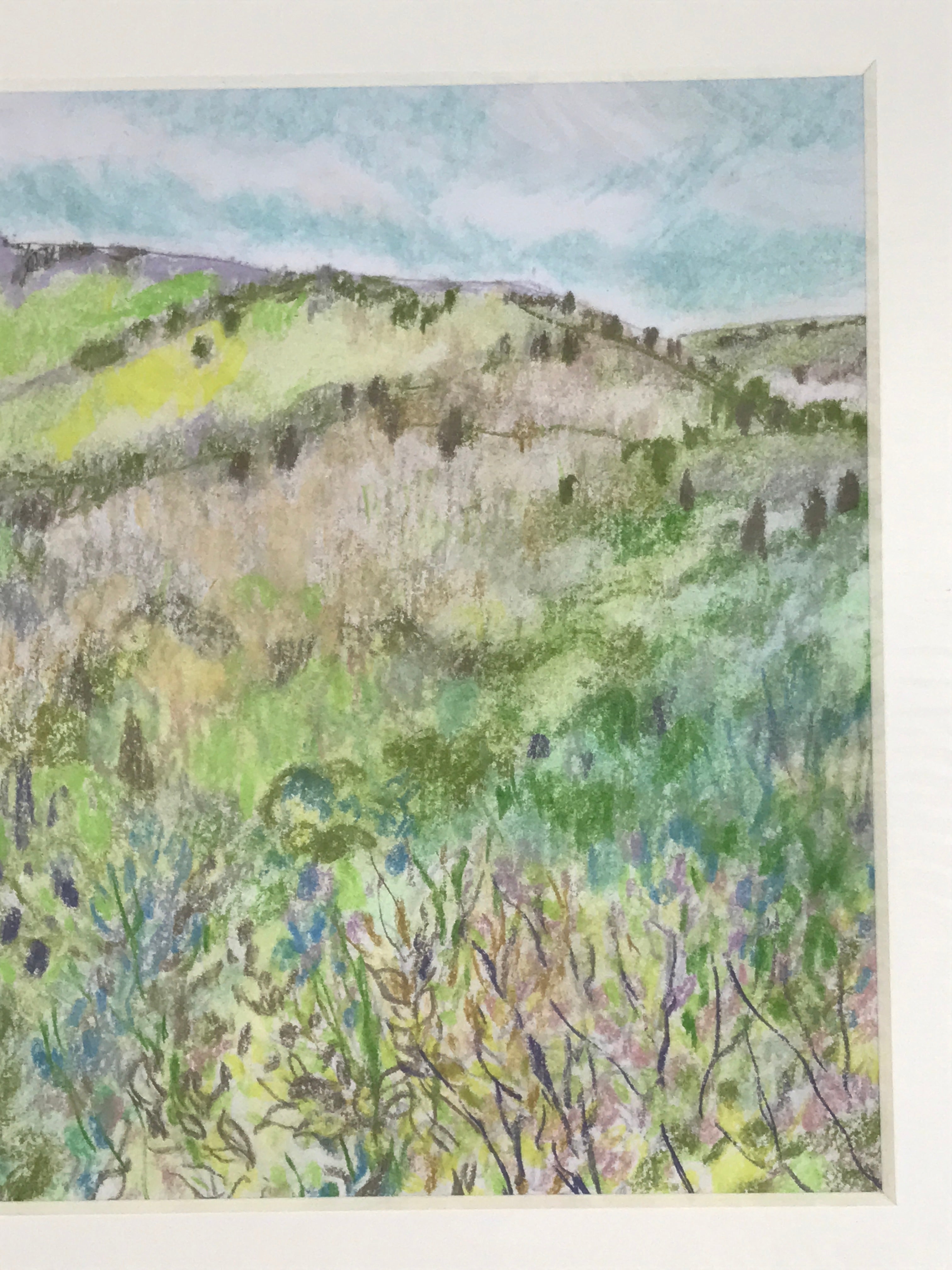 Japanese Lush Nature Landscape Pastel Drawing Art Signed Yoshihiro Hagino FL321