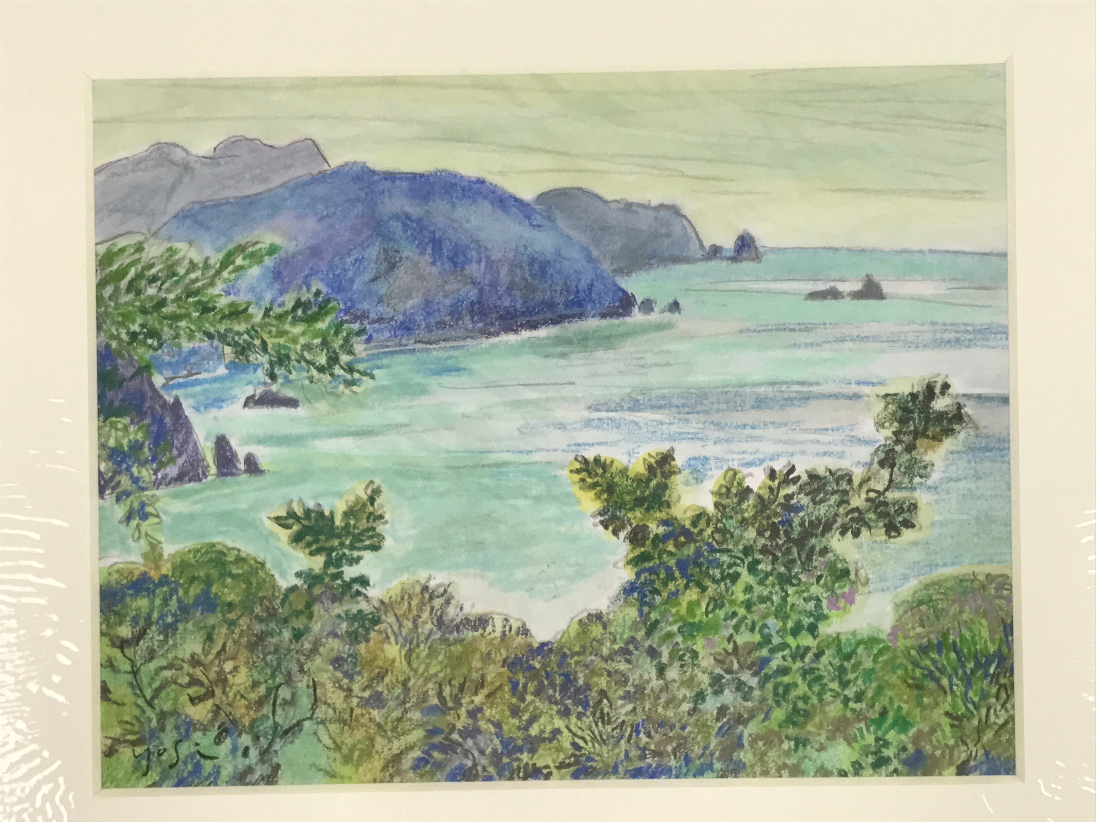 Japanese Lush Ocean Coastline Pastel Drawing Art Signed Yoshihiro Hagino FL337