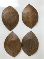 Japanese Magnolia Leaf Drink Saucer Chataku Coaster 4pc Natural Brown L387