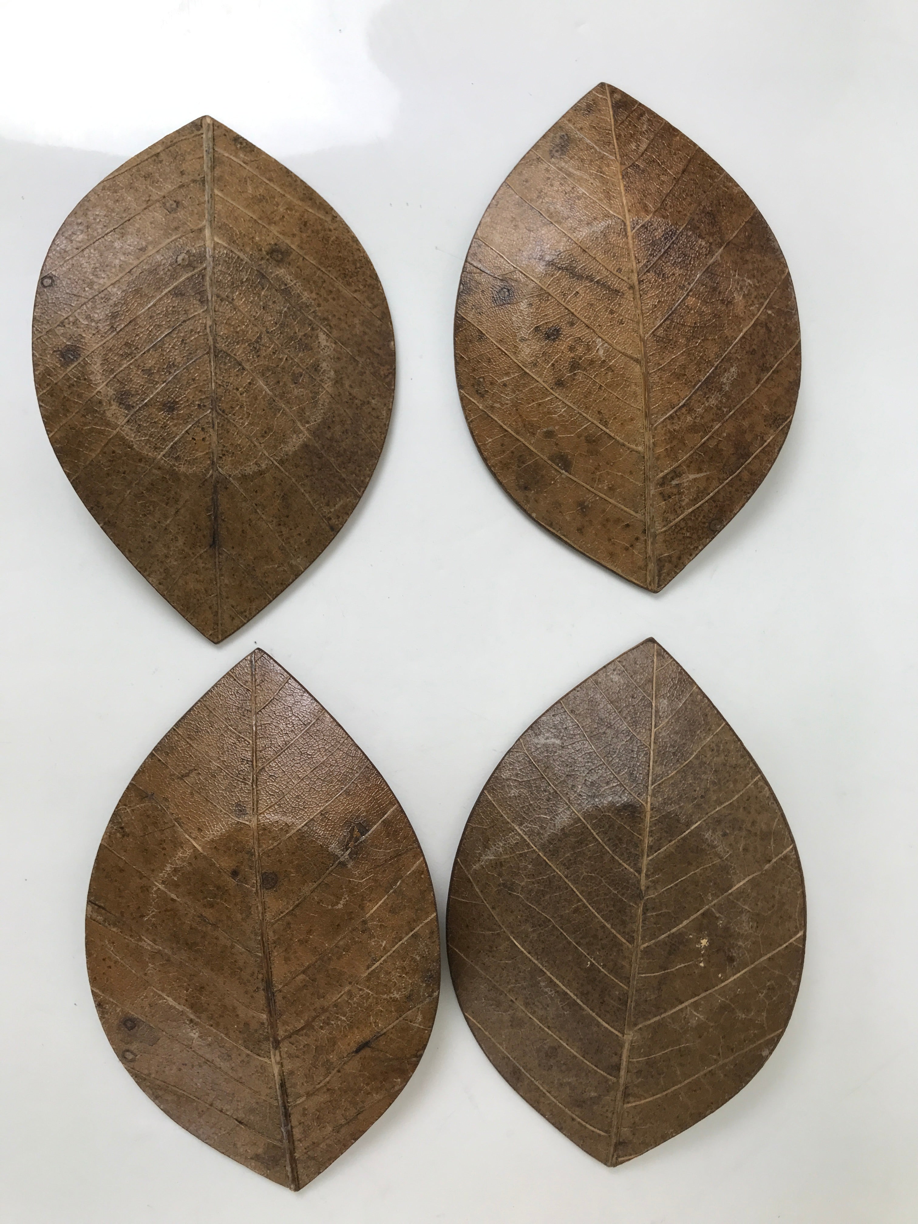 Japanese Magnolia Leaf Drink Saucer Chataku Coaster 4pc Natural Brown L387