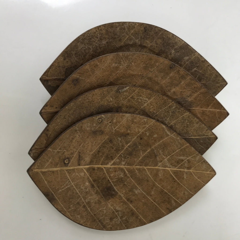 Japanese Magnolia Leaf Drink Saucer Chataku Coaster 4pc Natural Brown L387