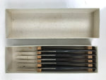 Japanese Medical Scalpel 5pc Set Vtg Stainless Steel Blade Tool Taxidermy KN20