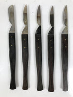 Japanese Medical Scalpel 5pc Set Vtg Stainless Steel Blade Tool Taxidermy KN20