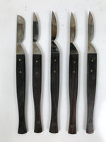 Japanese Medical Scalpel 5pc Set Vtg Stainless Steel Blade Tool Taxidermy KN20