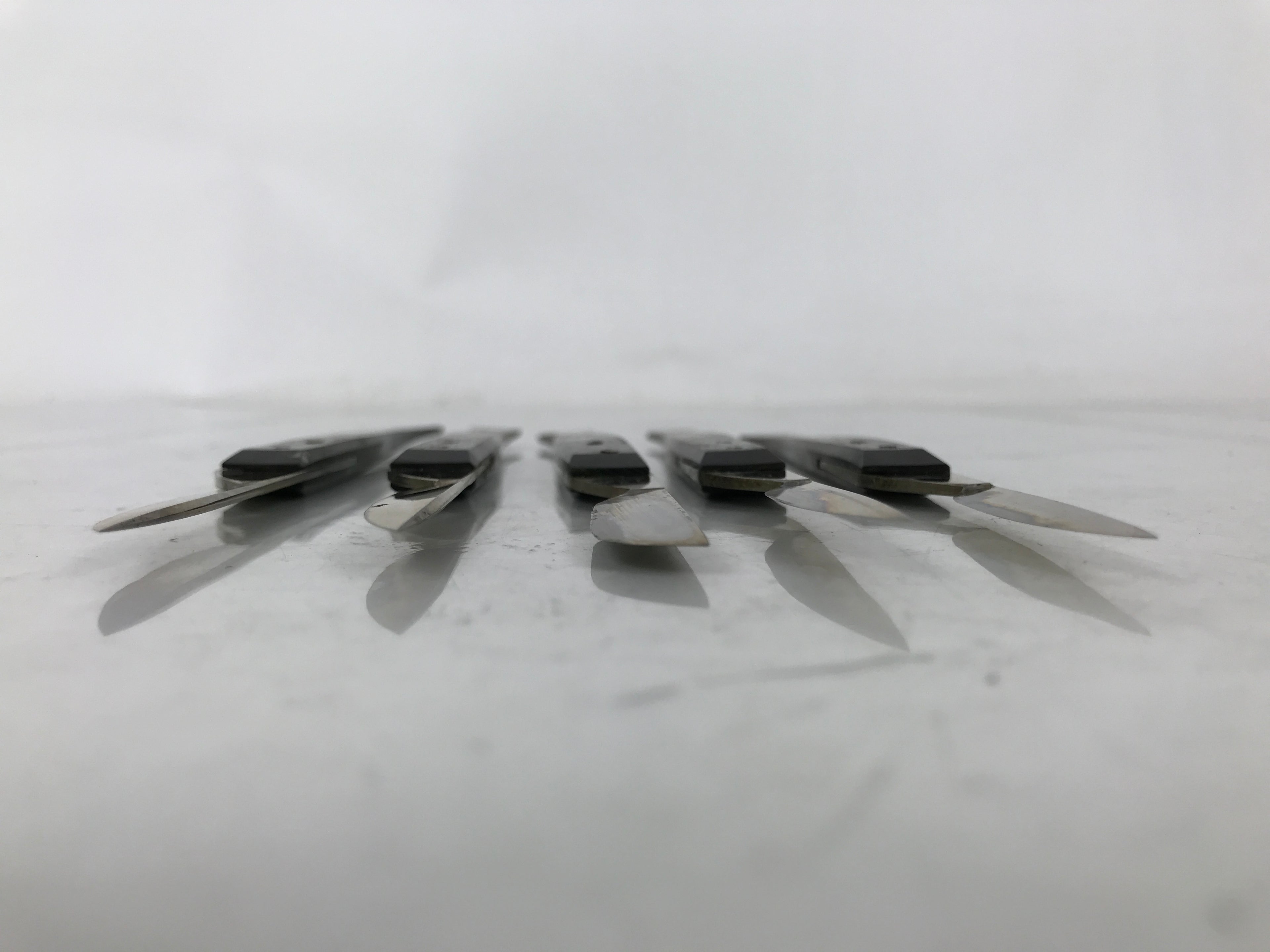 Japanese Medical Scalpel 5pc Set Vtg Stainless Steel Blade Tool Taxidermy KN20