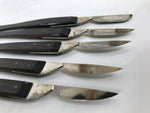 Japanese Medical Scalpel 5pc Set Vtg Stainless Steel Blade Tool Taxidermy KN20