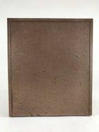 Japanese Medicine Box First Aid Kit Iron Drawer Box Hayashi Yakuhin Shokai JK514