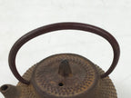 Japanese Miniature Cast Iron Tetsubin Kettle Teapot Vtg Display Nanbu Tekki T119