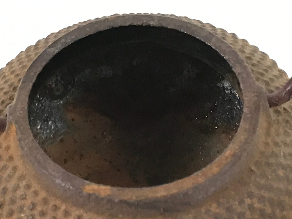 Japanese Miniature Cast Iron Tetsubin Kettle Teapot Vtg Display Nanbu Tekki T119