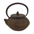 Japanese Miniature Cast Iron Tetsubin Kettle Teapot Vtg Display Nanbu Tekki T119