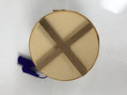 Japanese Miniature Hanging Lantern Vtg Chochin Odawara Souvenir Decor LT113