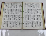 Japanese Modern Calligraphy Basic Course Vtg Paper Large Format HN28