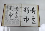 Japanese Modern Calligraphy Basic Course Vtg Paper Large Format HN28