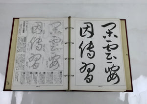 Japanese Modern Calligraphy Basic Course Vtg Paper Large Format HN28