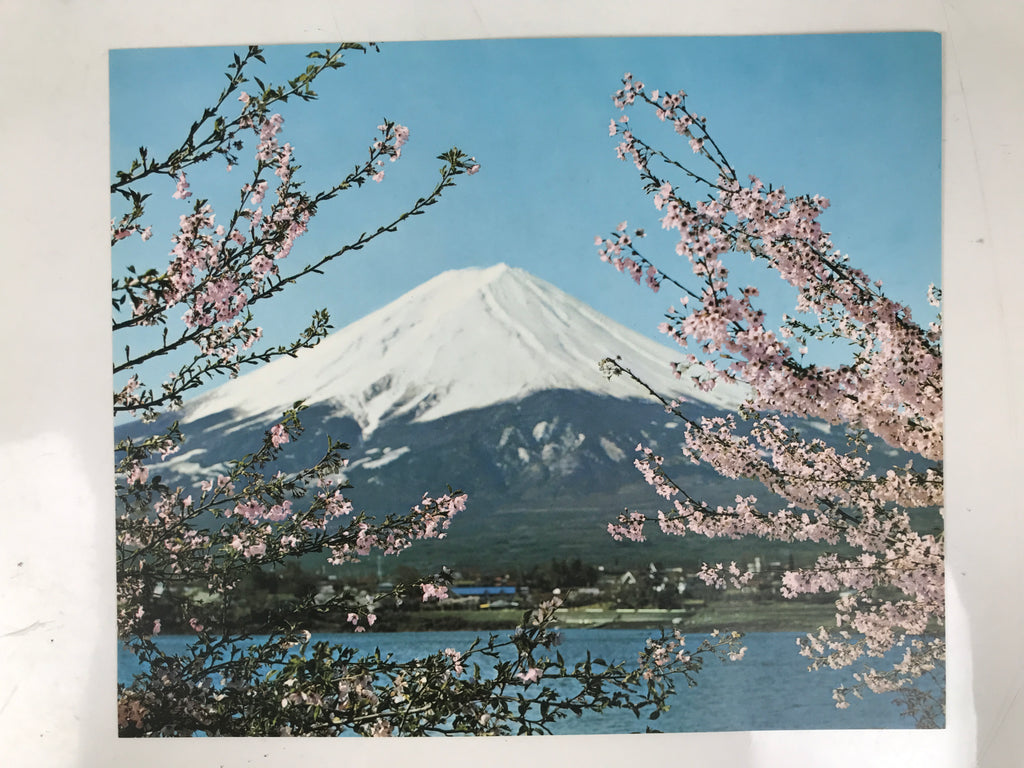 Japanese Mt Fuji Hakone Pictures Vtg Sakura Lake Kawaguchi 6 Pcs Set A687