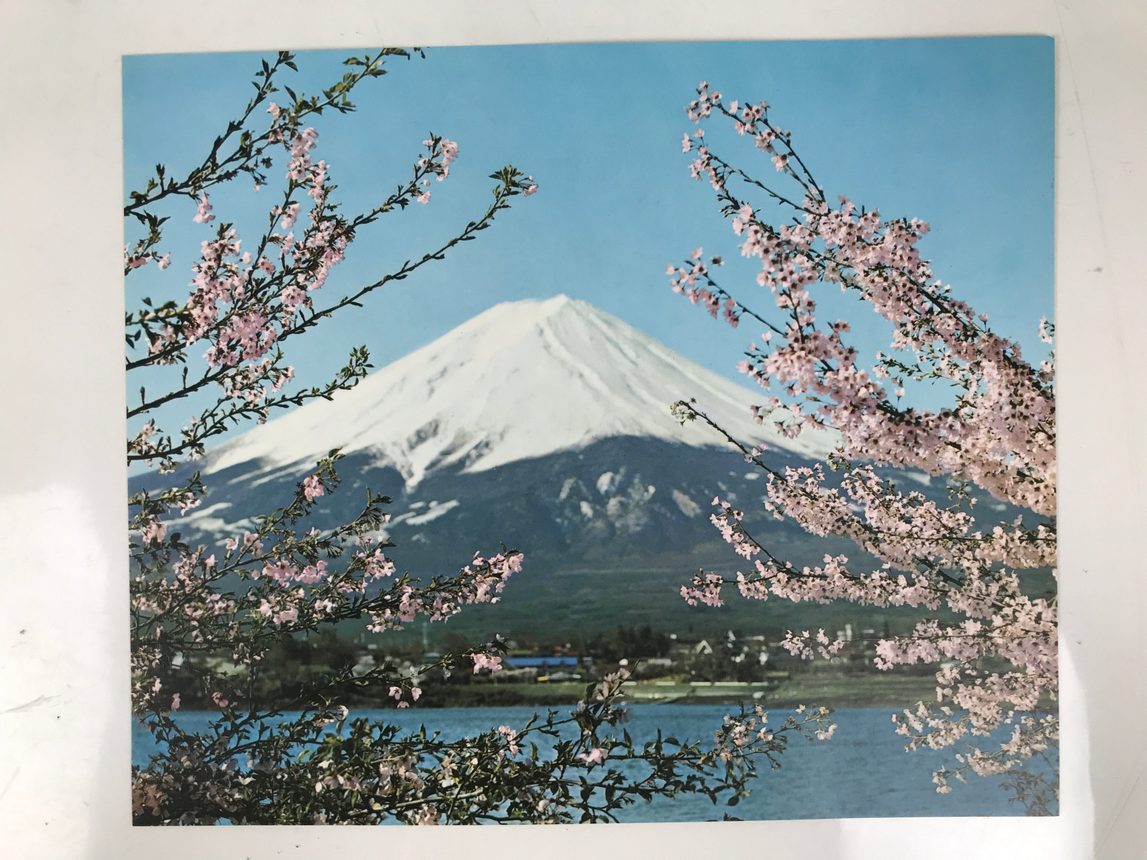 Japanese Mt Fuji Hakone Pictures Vtg Sakura Lake Kawaguchi 6 Pcs Set A687