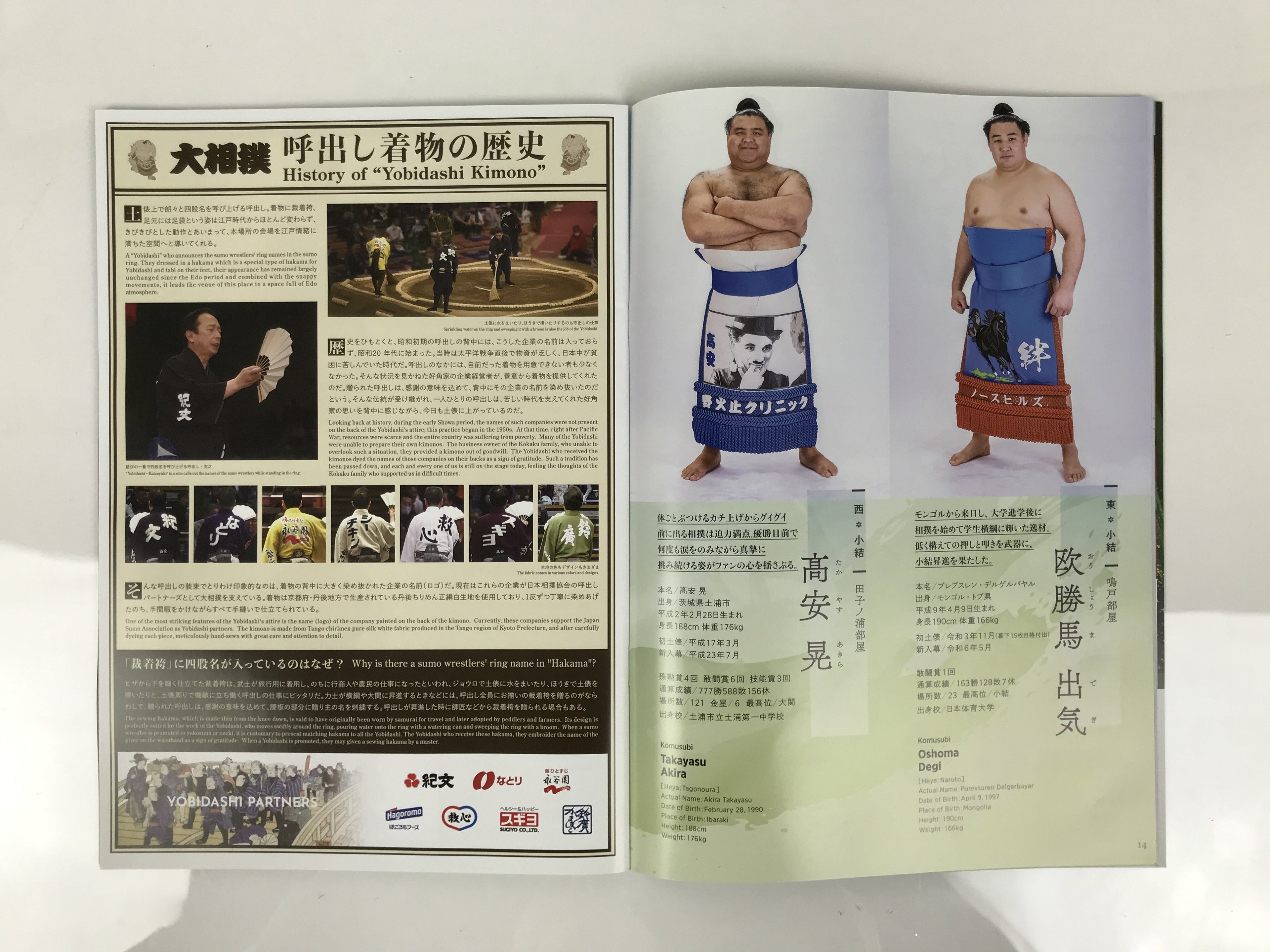 Japanese Nagoya Grand Sumo Tournament 2025 Catalog Book IG Arena Full Color HN44