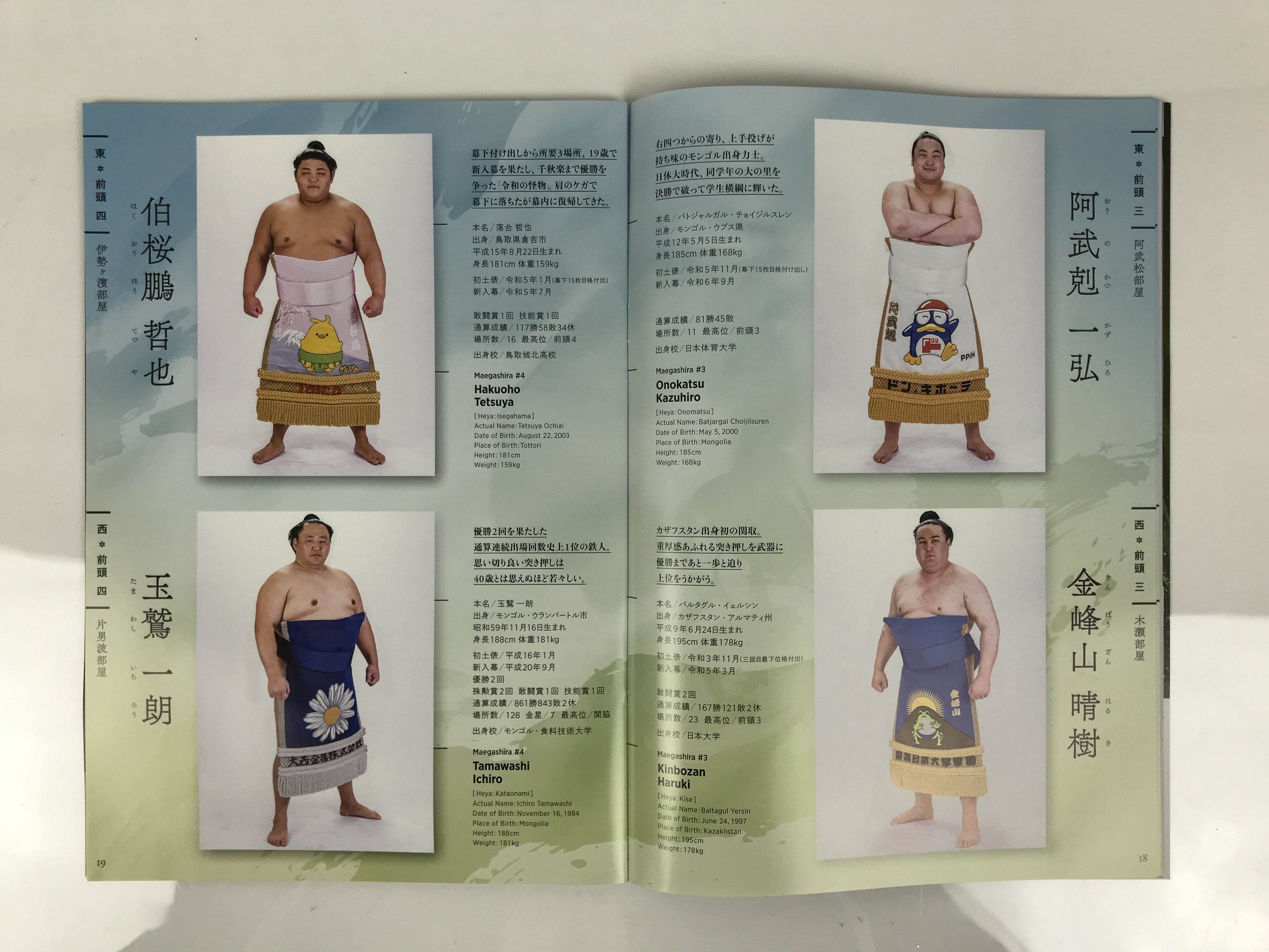 Japanese Nagoya Grand Sumo Tournament 2025 Catalog Book IG Arena Full Color HN44
