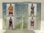 Japanese Nagoya Grand Sumo Tournament 2025 Catalog Book IG Arena Full Color HN44