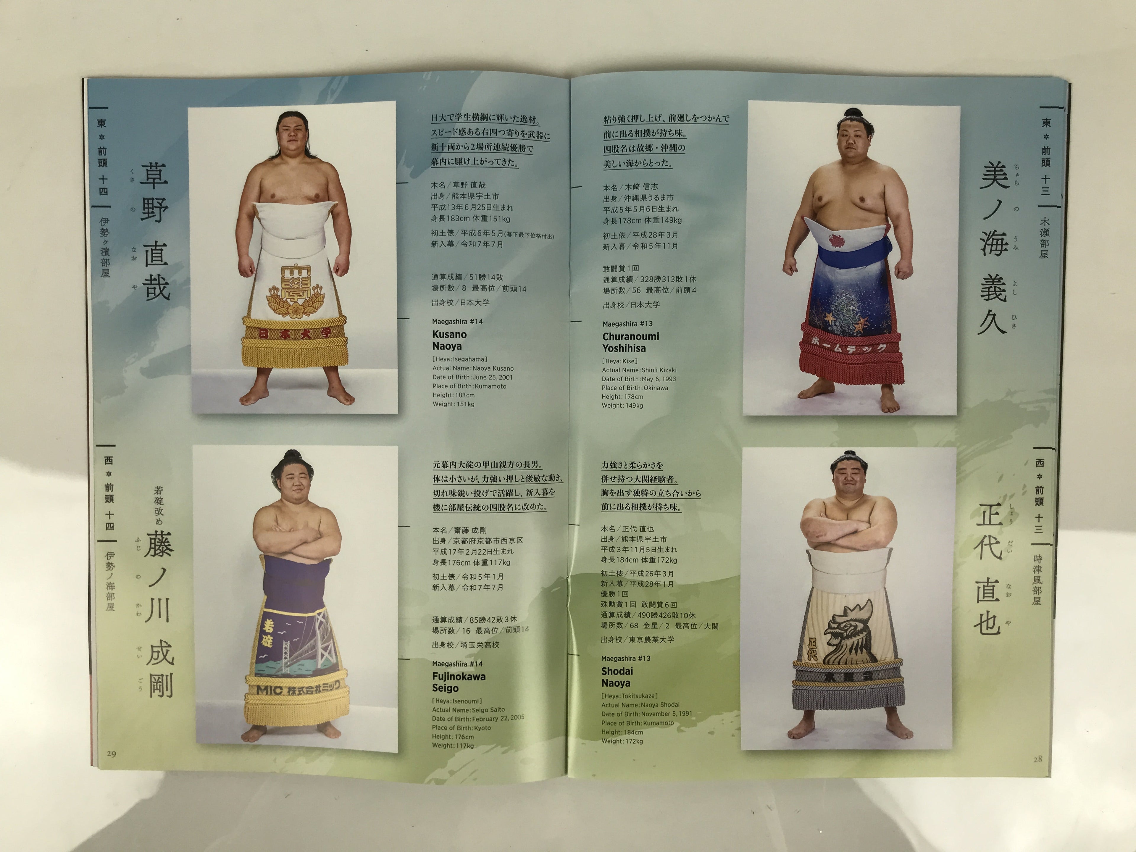 Japanese Nagoya Grand Sumo Tournament 2025 Catalog Book IG Arena Full Color HN44