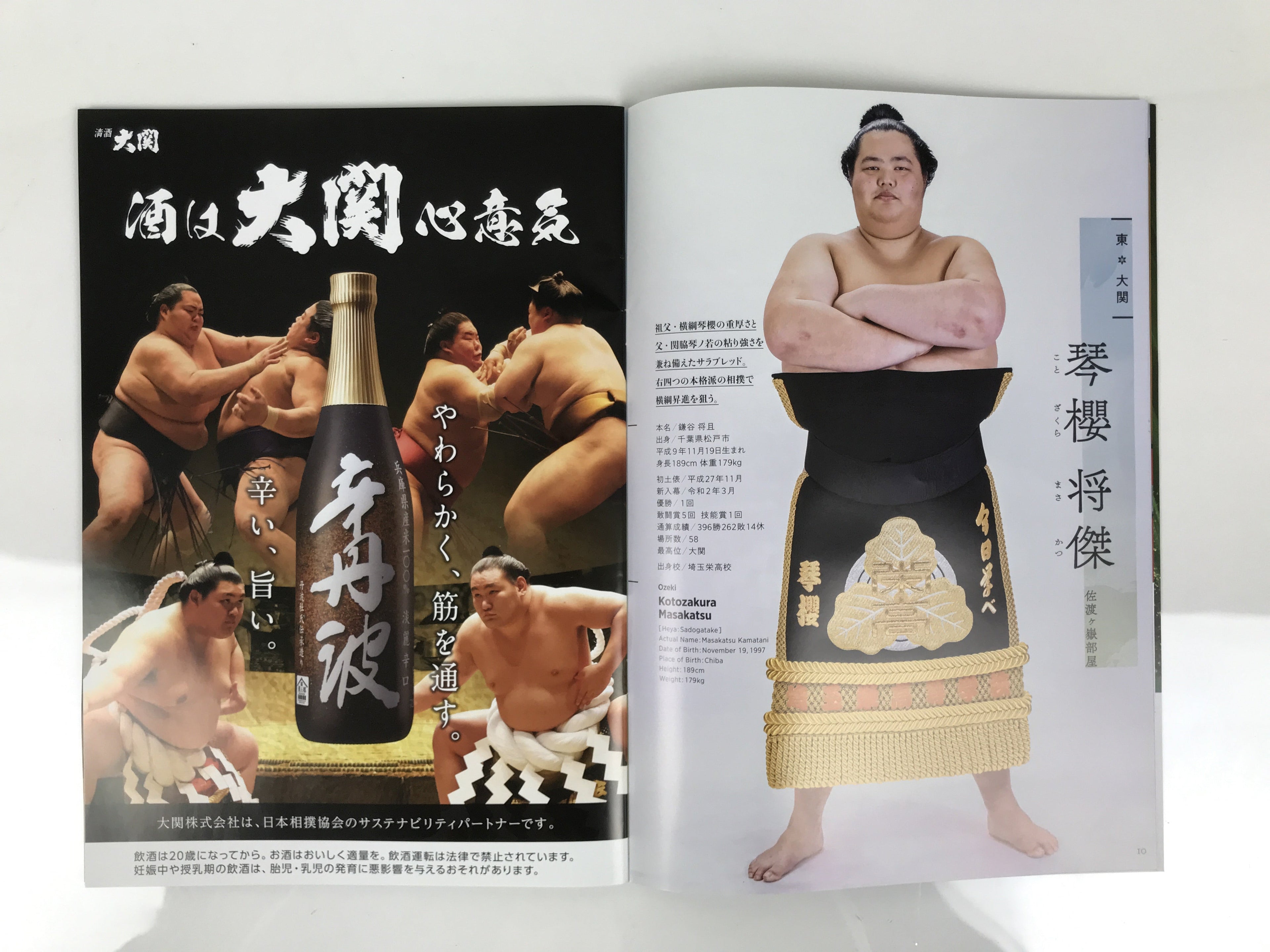 Japanese Nagoya Grand Sumo Tournament 2025 Catalog Book IG Arena Full Color HN44