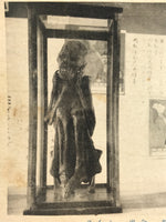 Japanese Nagoya Hygiene Exhibition Postcard Vtg Souvenir Paper Black White PC75