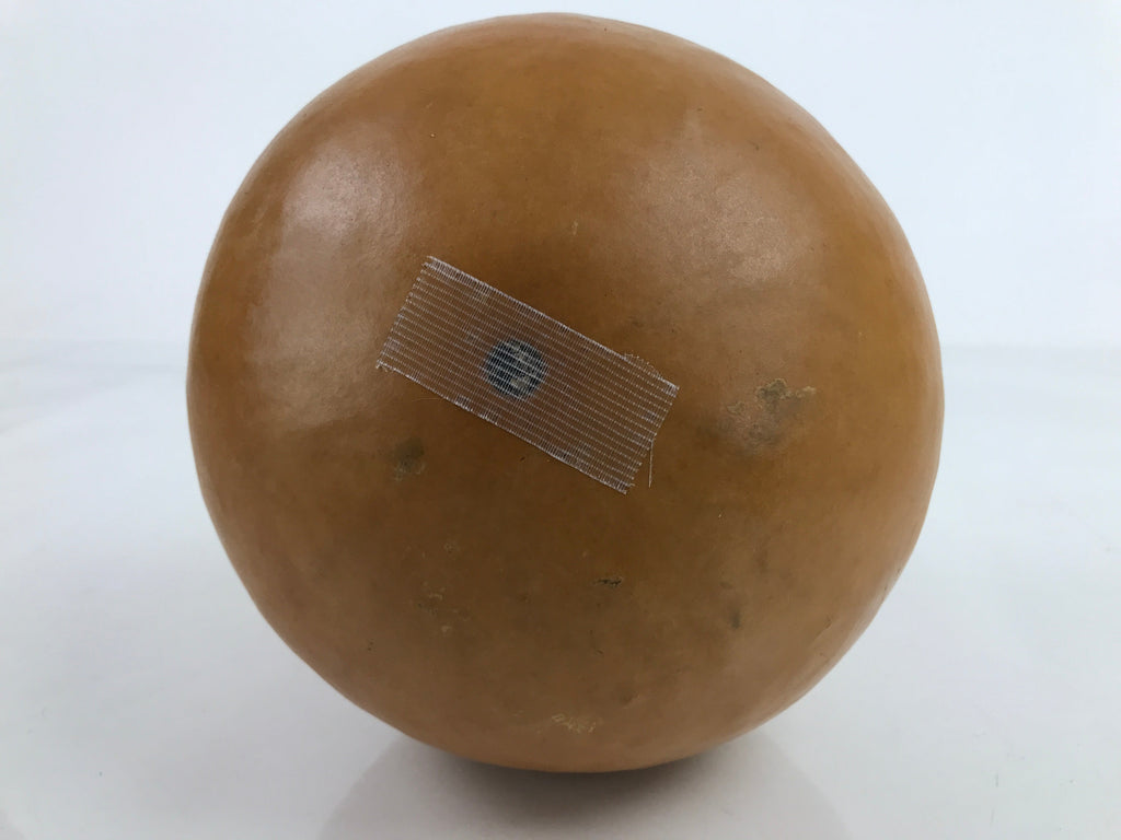 Japanese Natural Hyotan Gourd Illustrated Sake Bottle Lucky Charm Calabash G271