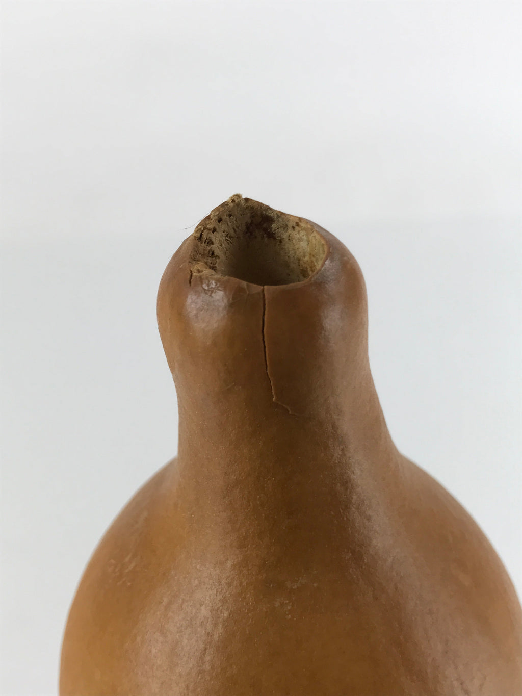 Japanese Natural Hyotan Gourd Vtg Sake Bottle Hotei Seven Lucky Gods Lidded G262