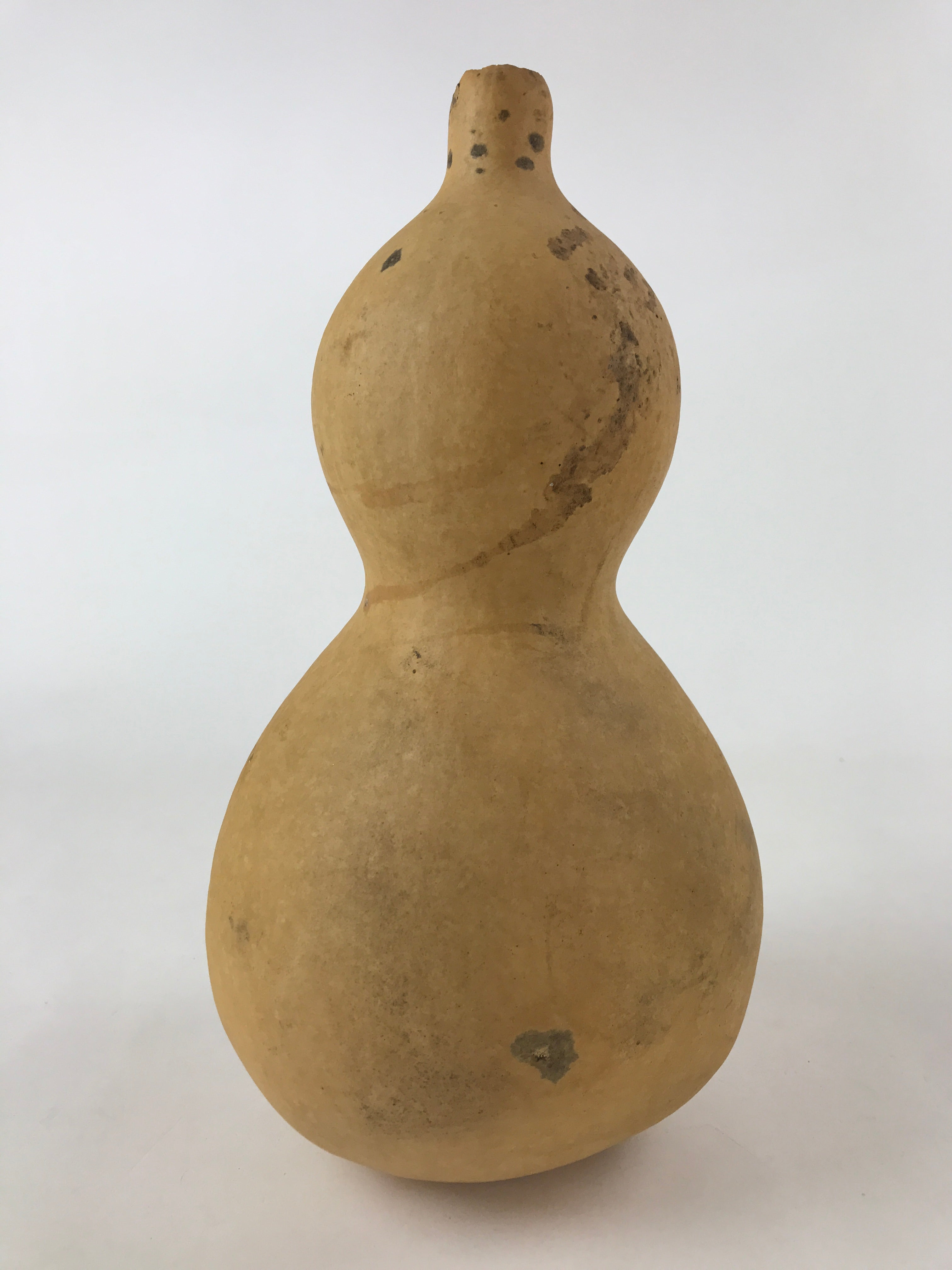 Japanese Natural Hyotan Gourd Vtg Sake Bottle Lucky Charm Large Calabash G249