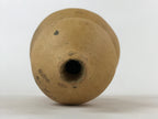 Japanese Natural Hyotan Gourd Vtg Sake Bottle Lucky Charm Large Calabash G249