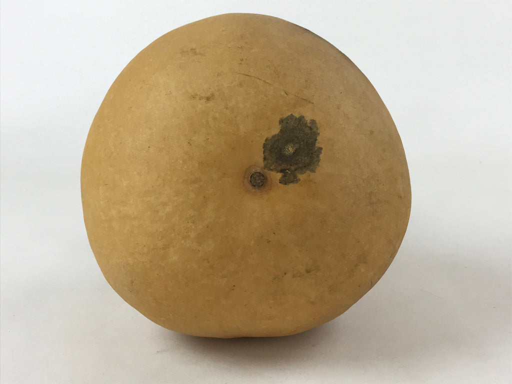 Japanese Natural Hyotan Gourd Vtg Sake Bottle Lucky Charm Large Calabash G249
