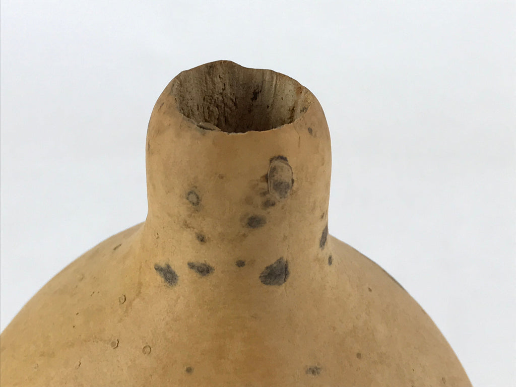 Japanese Natural Hyotan Gourd Vtg Sake Bottle Lucky Charm Large Calabash G249