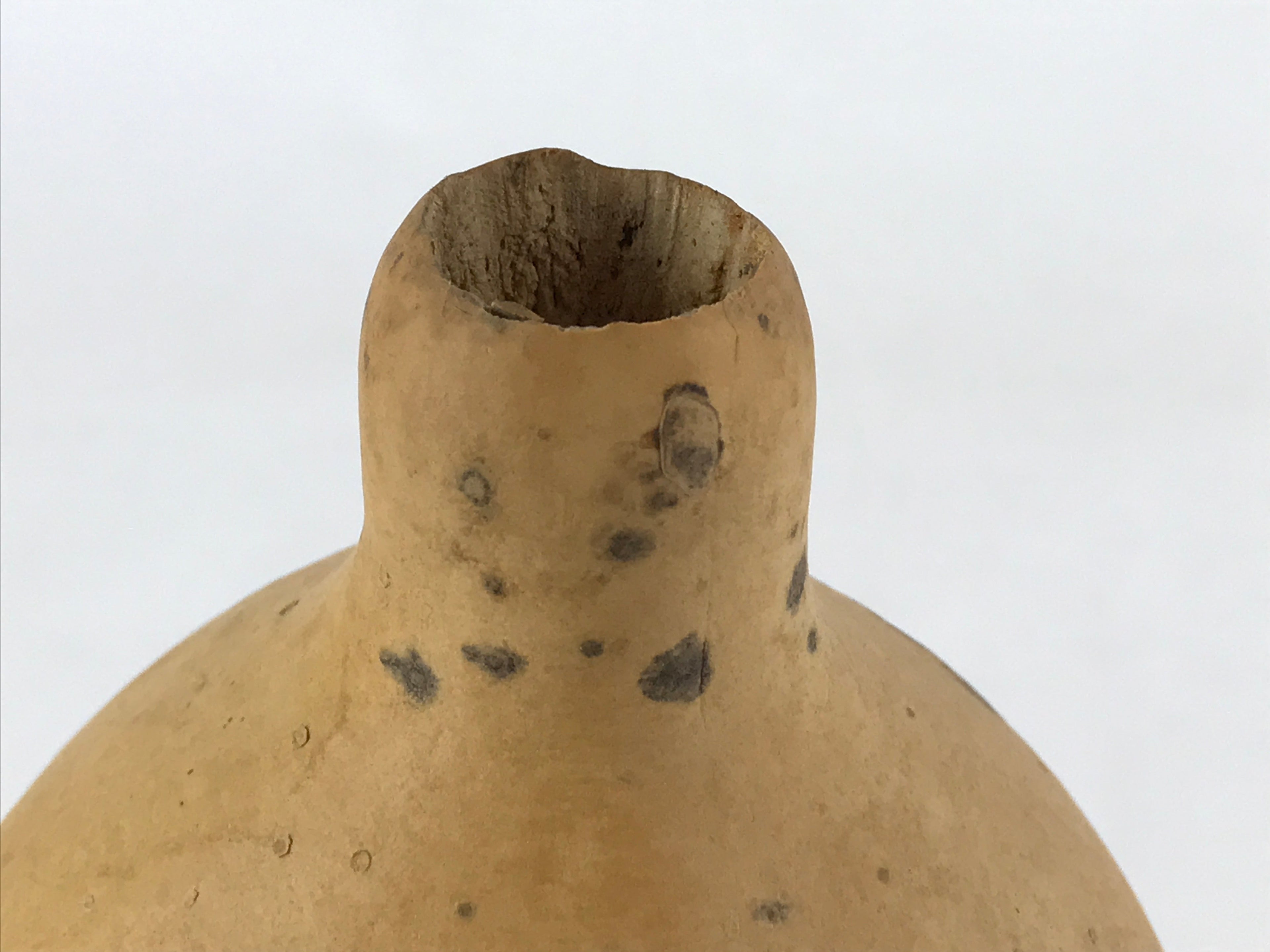 Japanese Natural Hyotan Gourd Vtg Sake Bottle Lucky Charm Large Calabash G249