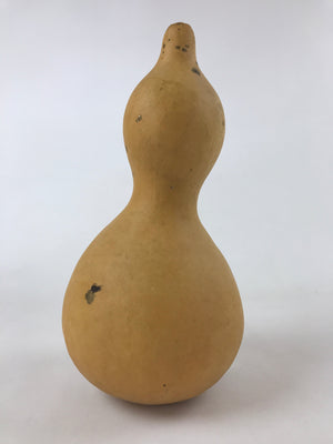Japanese Natural Hyotan Gourd Vtg Sake Bottle Lucky Charm Large Calabash G250