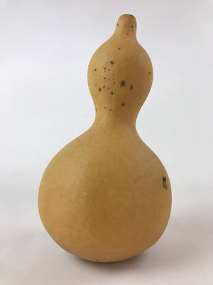 Japanese Natural Hyotan Gourd Vtg Sake Bottle Lucky Charm Large Calabash G250