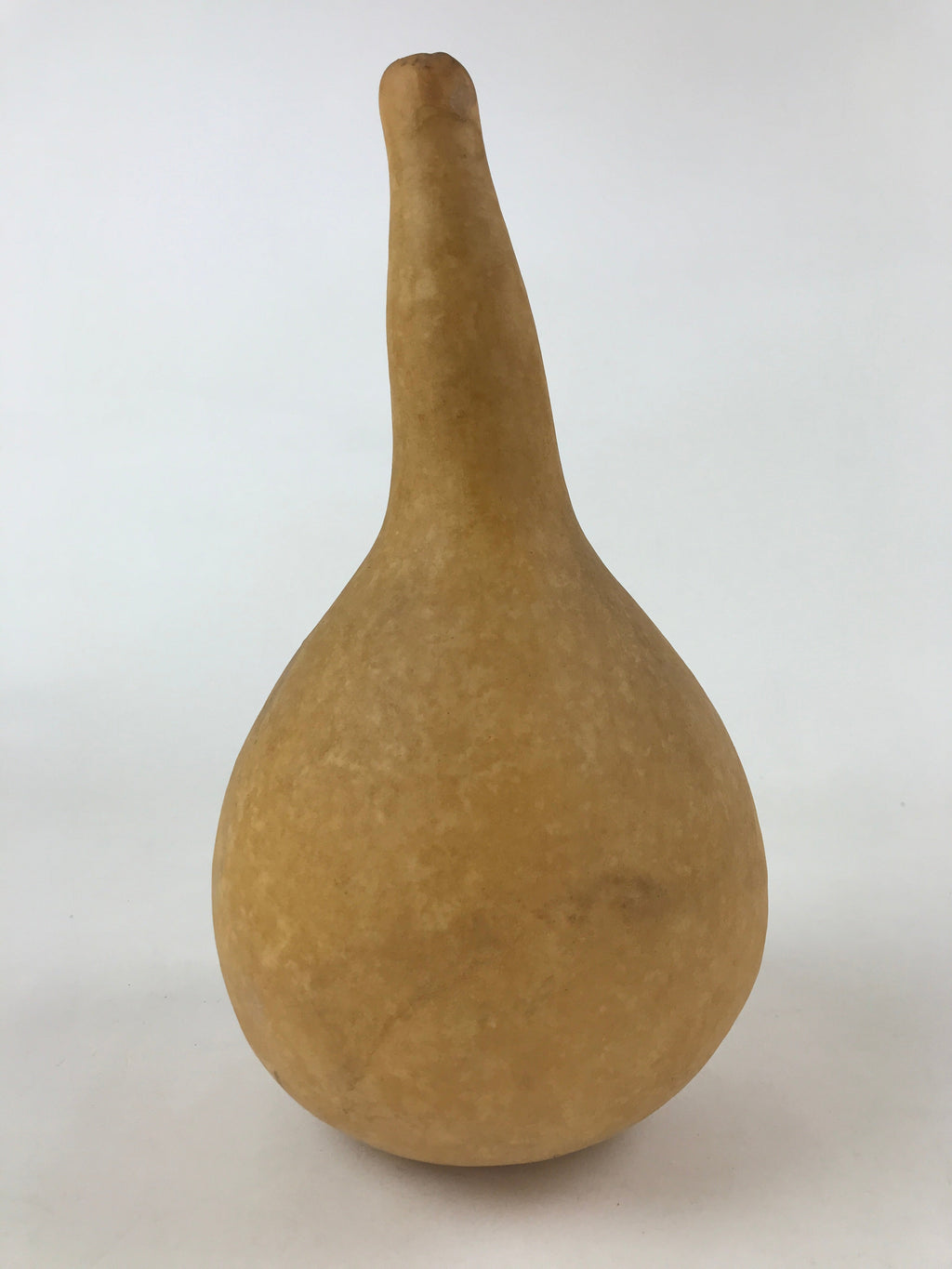 Japanese Natural Hyotan Gourd Vtg Sake Bottle Lucky Charm Large Calabash G251