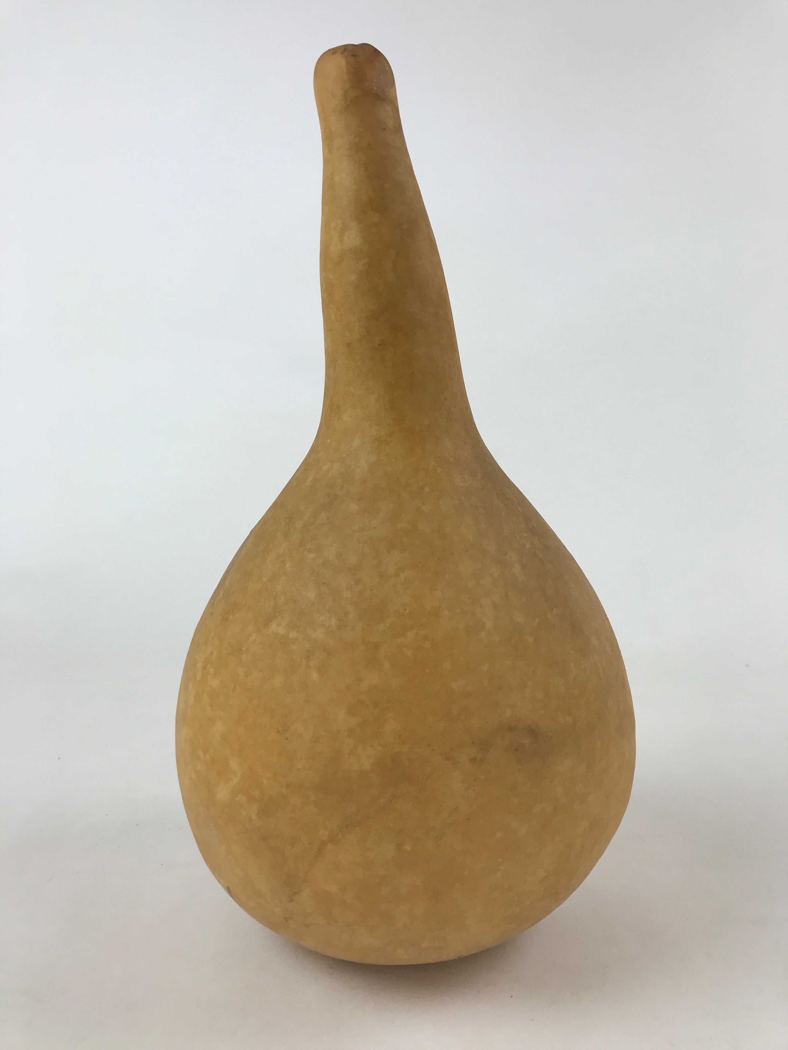Japanese Natural Hyotan Gourd Vtg Sake Bottle Lucky Charm Large Calabash G251